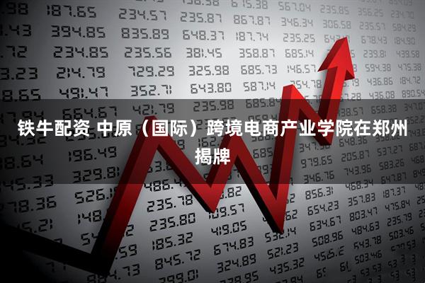 铁牛配资 中原（国际）跨境电商产业学院在郑州揭牌