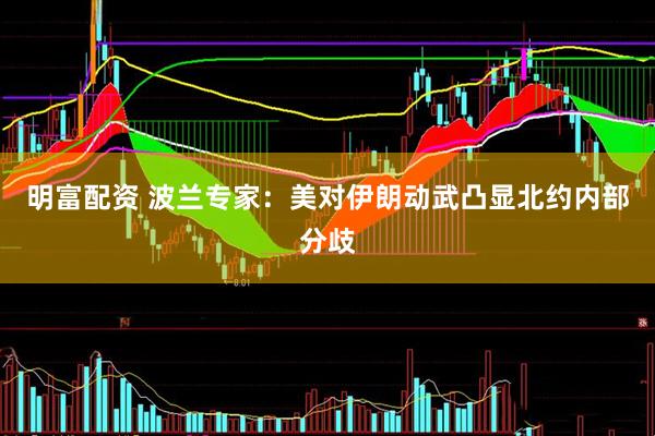 明富配资 波兰专家：美对伊朗动武凸显北约内部分歧